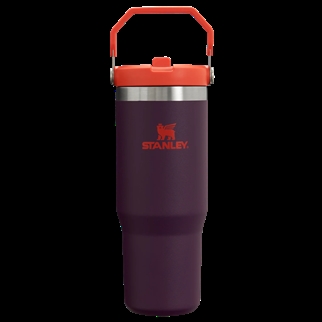 Stanley Flip Straw Tumbler Plum